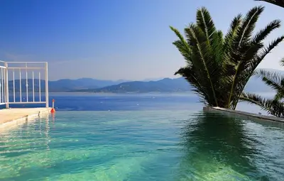 a swimming pool with a palm tree next to the water at Villa Gardelina in Campomoro