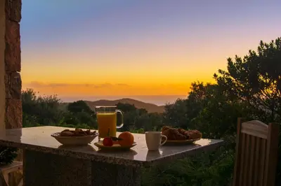 a table with a plate of food and a glass of orange juice at A Machja 17 in Monacia-dʼAullène