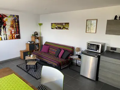 a living room with a couch and a microwave at Charmant appartement 3 étoiles entièrement rénové 