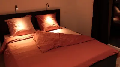a bed with two pillows on it in a room at Le 42e Parallèle in Valle-di-Mezzana