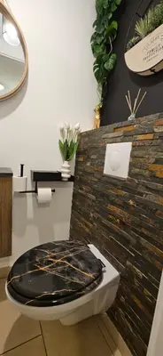 a bathroom with a toilet with a stone wall at Appartement VOILES BLANCHES-Clim-Wifi-Plage a pieds in Sari Solenzara