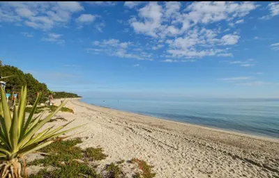 a view of a beach with the ocean at VERANU - Vue campagne- 5 mn de la plage de sable in Prunelli-di-Fiumorbo