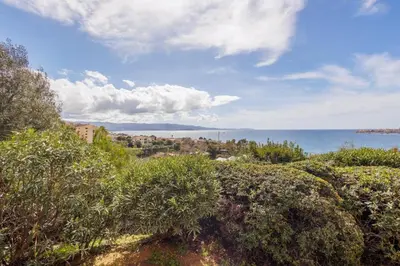 a view of the ocean from a hill with bushes at Cosy T2 vue mer climatisé wifi et tout équipé refait à neuf in Ajaccio