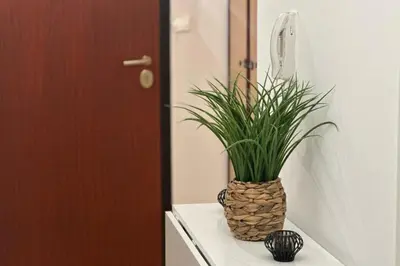 a potted plant sitting on a shelf in a bathroom at Cosy T2 vue mer climatisé wifi et tout équipé refait à neuf in Ajaccio