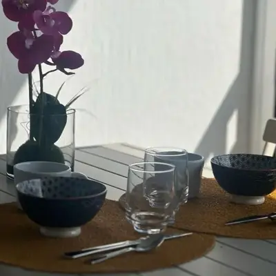 Cosy T2 vue mer climatisé wifi et tout équipé refait à neuf