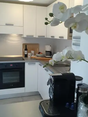 a kitchen with white cabinets and a black appliance at Neues, modernes Steinchalet mit grosser Terrasse und Pool bei Rondinara in Bonifacio