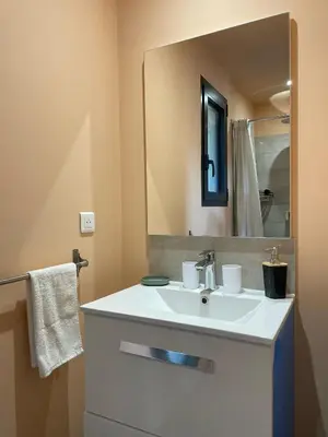 a bathroom with a white sink and a mirror at A Casuccia in Zonza