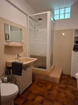 a bathroom with a shower and a sink and a toilet at F2 Les Figuiers proche Ajaccio in Sarrola-Carcopino