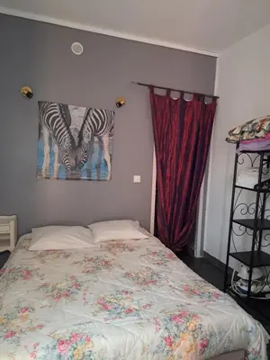 a bedroom with a bed with a painting of zebras at Appartements Luccisano in Borgo