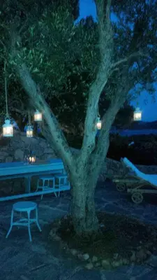 a tree and a bench in front of a table at Casetta indipendente con vista a Santa Giulia in Porto-Vecchio