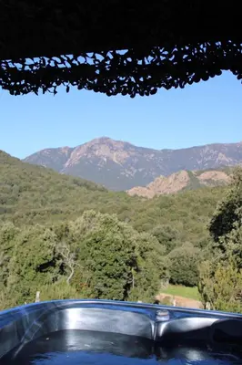 a view of the mountains from a bottle of wine at Bergerie du Prunelli in Cauro