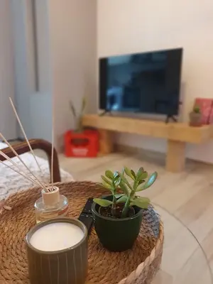 a table with two plants sitting on top of it at studio cosy idéalement situé parking privé in Ajaccio