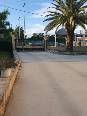 an empty street with a palm tree and a building at Rez de villa in Borgo