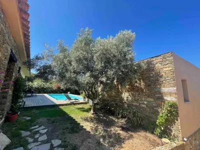 a house with a tree next to a swimming pool at A Casetta Di Oletta in Oletta
