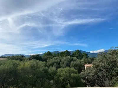 a view of a forest of trees and mountains at T3 Tout confort à 5 mn des plages de Pinarello in Pinarellu