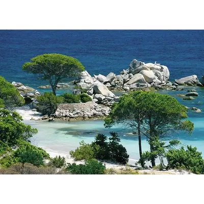 an island with trees and rocks in the water at L'Attellu Di Babbu pour 2 in Lecci