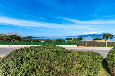 a large green bush in front of a road at Le Yucca - Vue mer 100 m de la plage in Pietrosella