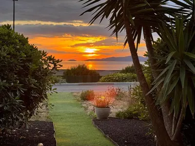a sunset seen from a garden with a palm tree at Le Yucca - Vue mer 100 m de la plage in Pietrosella