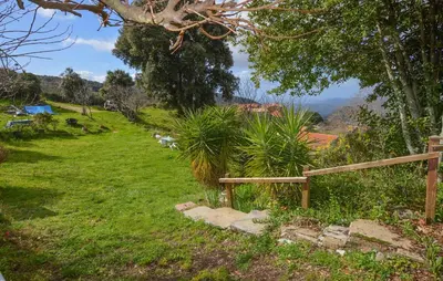 a garden with a wooden bench in a field at Gorgeous Stacaravan In Casalabriva in Casalabriva