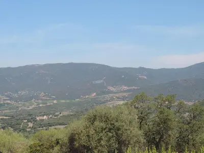 a view of a valley with trees and mountains at Maquis et Mer in Sollacaro