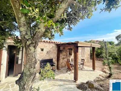 a patio with a tree and a wooden shelter at A Sérénità - Bergerie - Piscine Privée in Porto-Vecchio