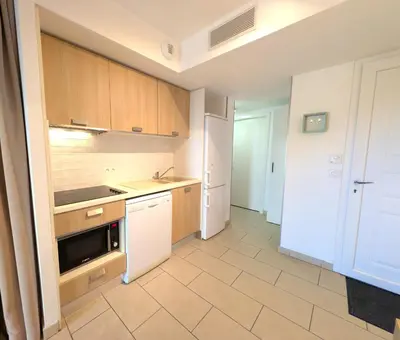 a kitchen with wooden cabinets and a stove top oven at Appartement cosy Vue Mer et Montagne in Sari Solenzara
