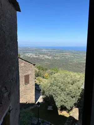 a view from a window of a building with a tree at Casuccia Piazza di i Fiori in Penta-di-Casinca