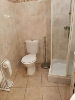 a small bathroom with a toilet and a shower at Casuccia Piazza di i Fiori in Penta-di-Casinca