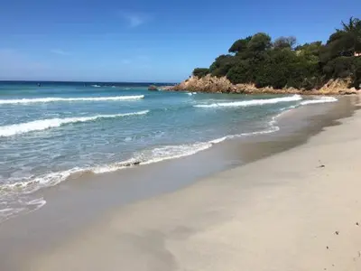 a sandy beach with the ocean and trees in the background at Appartement vue mer à 1min de la plage in Grosseto-Prugna