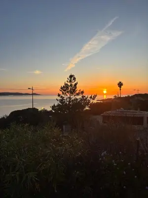 a sunset over a body of water with a tree at Appartement T2 in Pietrosella