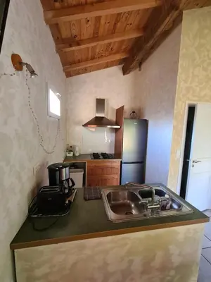 a kitchen with a sink and a refrigerator at Casa Ghjadda - gite ombragé avec accès piscine - in Appietto
