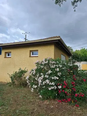 a house with a large bush of flowers in front of it at Casa Ghjadda - gite ombragé avec accès piscine - in Appietto