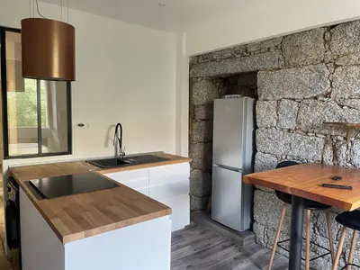 a kitchen with a sink and a refrigerator at Lovely apartment in Sartène in Sartène
