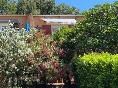 a group of trees and flowers in front of a house at Le petit mauricia in San-Nicolao
