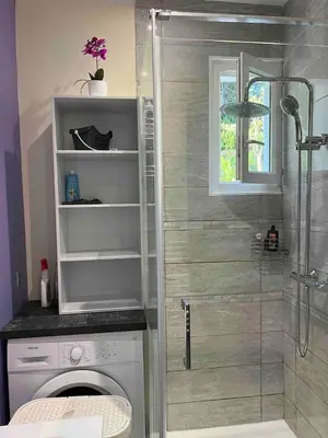 a bathroom with a shower and a washing machine at Le petit mauricia in San-Nicolao