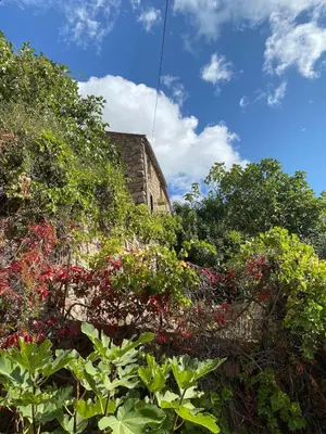 a garden with red flowers and trees and a building at OTA T2 proche rivières et plages, randonnées in Guaita