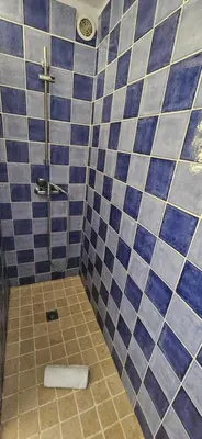 a blue and white tiled bathroom with a shower at T3 Dolce & Vita D5 avec Piscine et vue Montagnes in Propriano