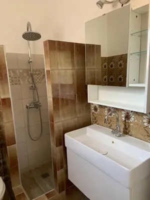 a bathroom with a white sink and a shower at Résidence U LATONU in Porto-Vecchio