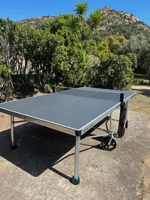 a ping pong table in front of some bushes at Résidence U LATONU in Porto-Vecchio