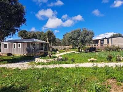 a house in a field with a yard at chalet 3 au cœur du maquis in Bonifacio