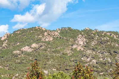 a mountain covered in trees with a blue sky at Casa Cavu di Santa Lucia in Sainte-Lucie de Porto-Vecchio