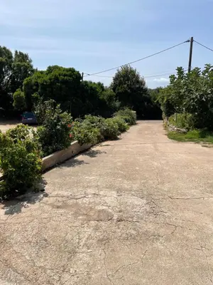 an empty parking lot with flowers and plants at Quadrale in Sotta