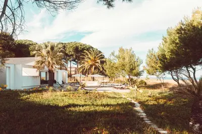 a house in the middle of a field with trees at Elegant Architect-Designed Home In Upper Corsica in Taglio-Isolaccio