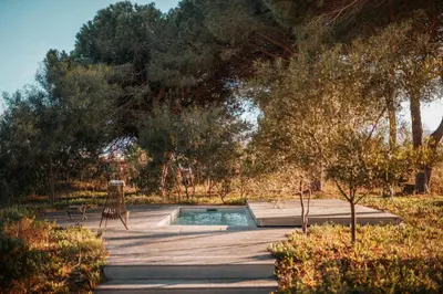 a pool in a garden with a chair and trees at Elegant Architect-Designed Home In Upper Corsica in Taglio-Isolaccio