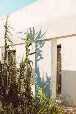 a shadow of a plant on the side of a building at Elegant Designer Home By The Sea In Corsica in Taglio-Isolaccio