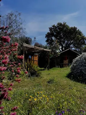 a garden with a shed and flowers in the grass at Le nid des crinières vagabondes in Oletta