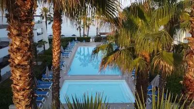 an overhead view of a swimming pool between palm trees at Amikad'o in San-Nicolao