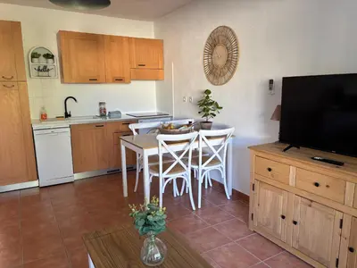 a kitchen with a table with chairs and a television at Amikad'o in San-Nicolao