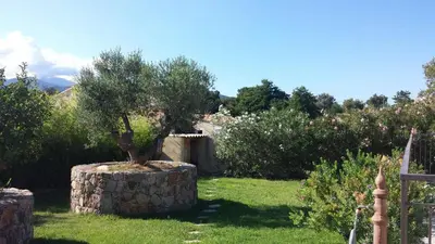 a tree in a stone stump in a garden at Villa CORSE in Solaro