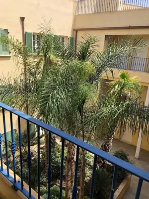 a balcony with palm trees in front of a building at Appartement T2 vue mer sur le port de Solenzara in Kamiesch